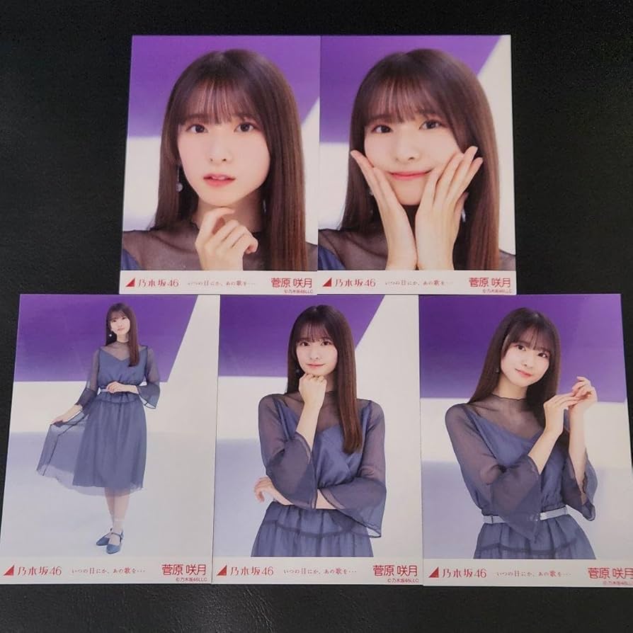 乃木坂46 菅原咲月 個別生写真 6種セット 乃木坂46 菅原咲月 個別生写真 6種セット